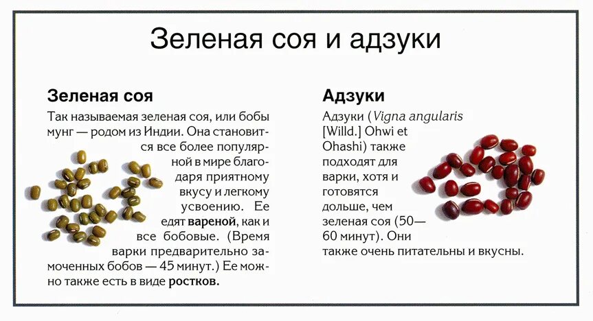 Семена бобовых содержат много. Что содержит сою. Где содержится соя. Соя растение состав. Соевые и бобовые.