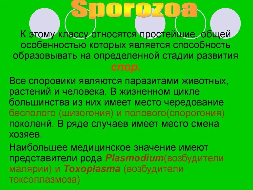 Круглые черви нематоды паразиты. Наибольшее число паразитов человека и животных относят. Цикл развития сосальщика биология. Наибольшее число паразитов человека и животных относят к. Вставьте в текст пропущенные термины из предложенного перечня.