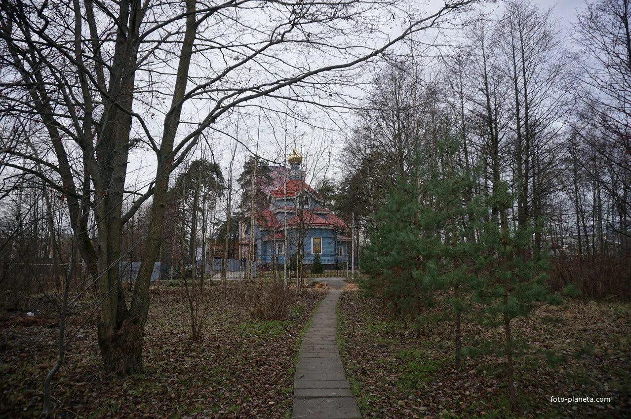 Ольгино Лахта-Ольгино (муниципальный округ) (Приморский район) Фотопланета