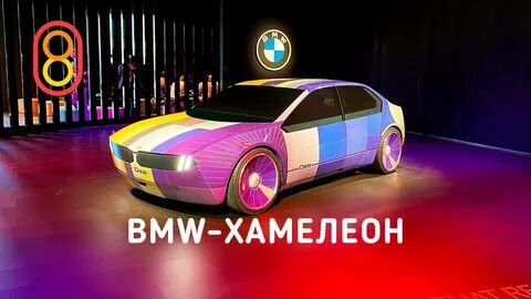 Хамелеон 2023