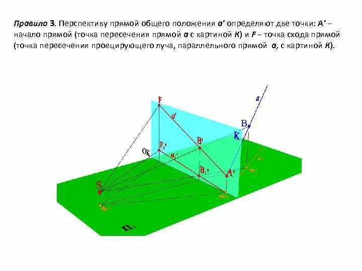 Прямые общего положения на плоскости. Проекции прямых общего положения. Перспектива отрезка прямой. Прямая общего порядка. Прямая общего порядка.