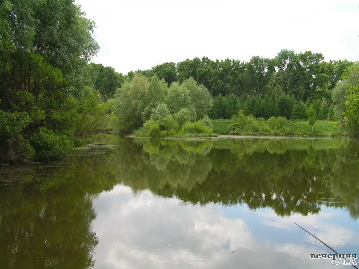 джина лоллобриджида. 1971. фильм плохой человек. ван маклиф. река плохого человека.