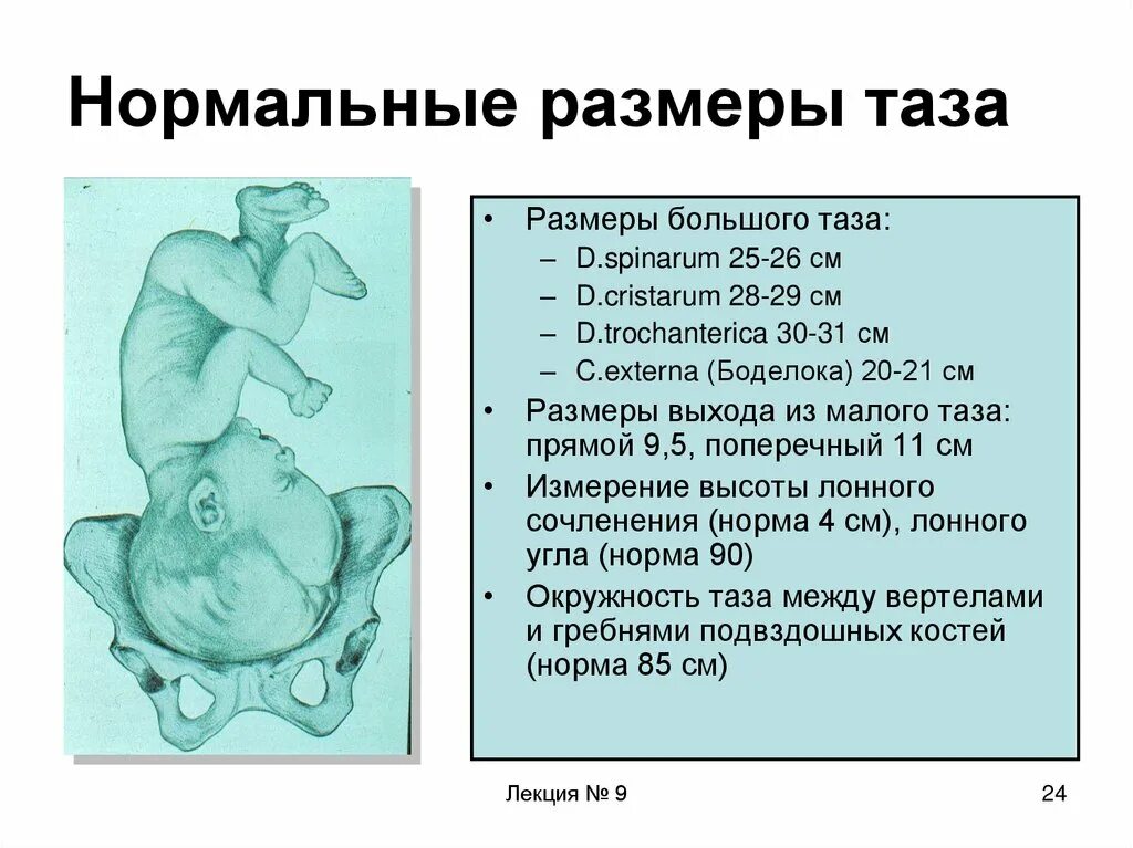 Размеры таза и плода Акушерство. Акушерские Размеры таза. Размеры таза женщины в норме. 37 недель тазовое