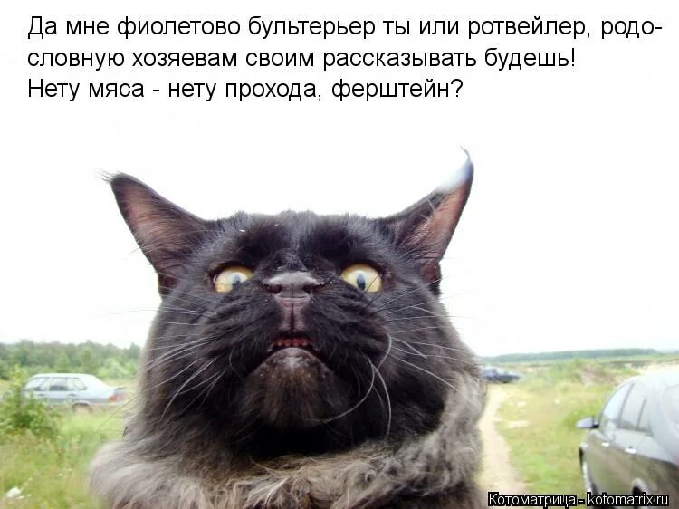 Однако, здравствуйте!. Однако здравствуйте приколы. Киселев мемы. Приятно однако. Шутки про чукчу.