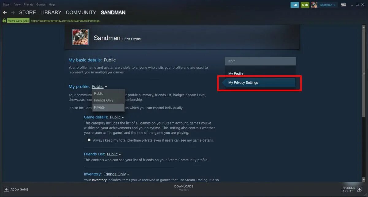 Details profile. Скрытый профиль стим. Steam settings. Как скрыть профиль в стиме. Seen игра стим.