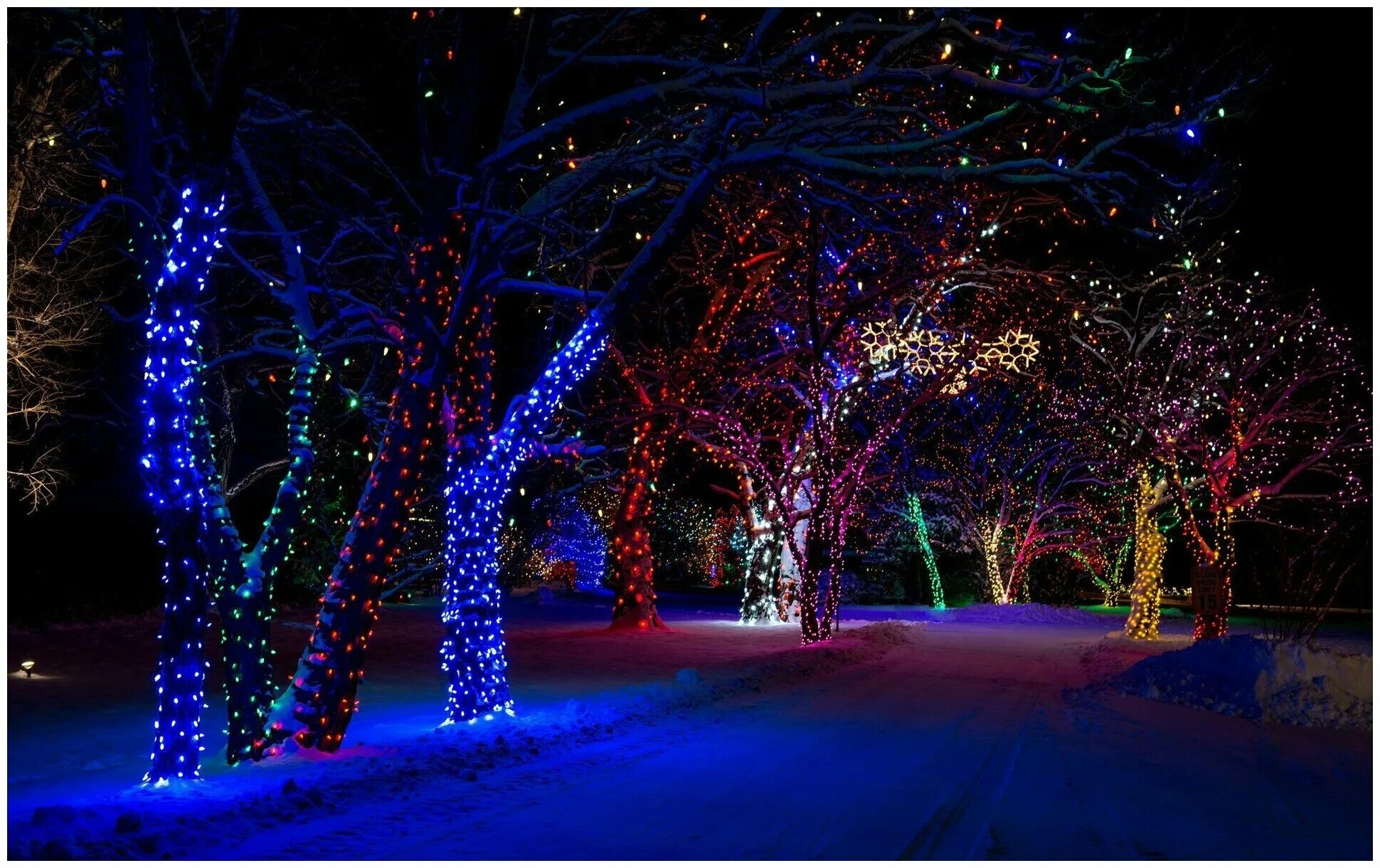 Иллюминация елки новогодняя. Иллюминация елки новогодняя. Новогодняя елка с иллюминацией. Новогодняя елка с иллюминацией. Красивые новогодние уличные ёлки.