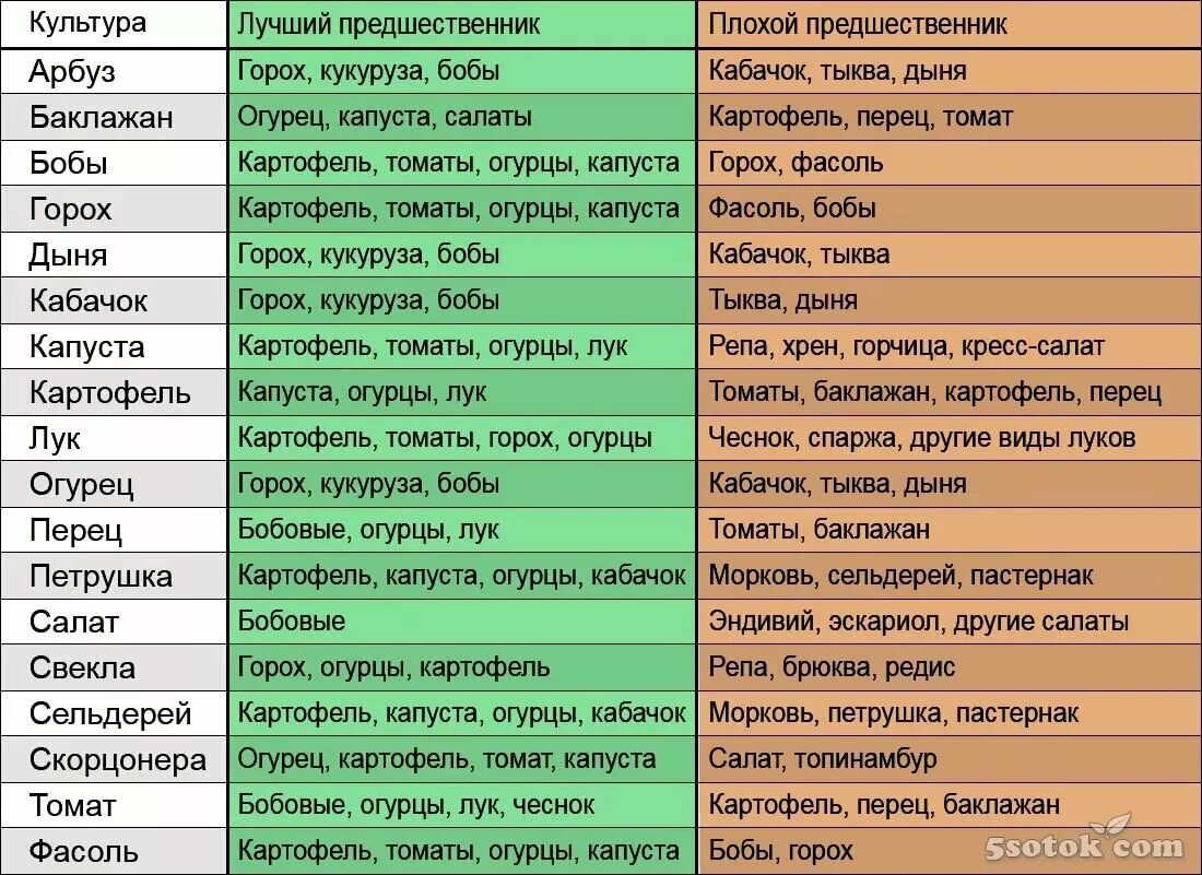 Лук после моркови на следующий год. Совместимость овощных культур при посадке на грядке таблица. Посадка овощей предшественники таблица. Предшественники овощных культур при посадке таблица. Совместимость овощей на огороде при посадке таблица.