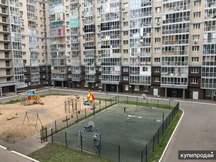 Казань профессора камая