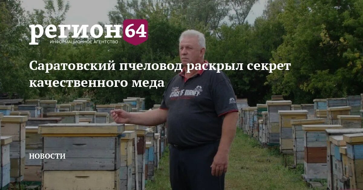 Пчеловод 2025 рейтинг. Пчеловод 2025. пчеловодство в саратовской области.