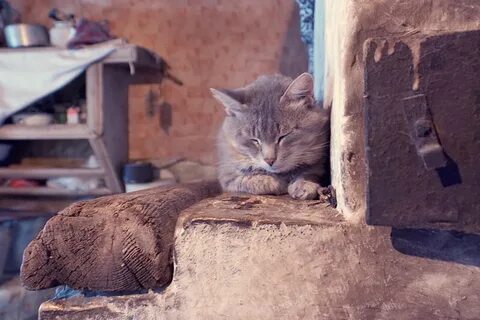Спящий кот на печке