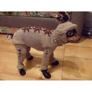 Связанные костюмы для собак