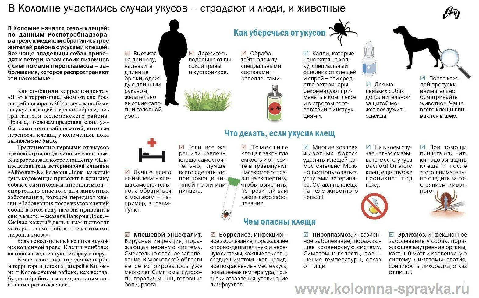 Какую траву можно давать кошкам