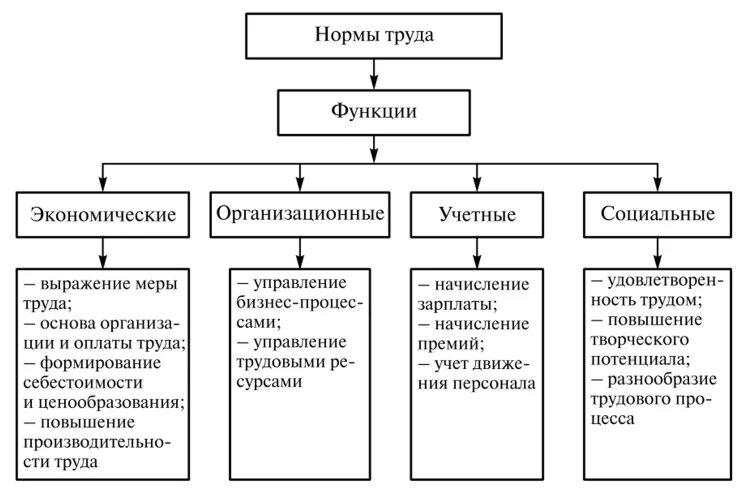 Нормы функционирования организации. Функции норм труда. Виды норм труда схема. Общие функции норм труда. Функции норм труда на предприятии.