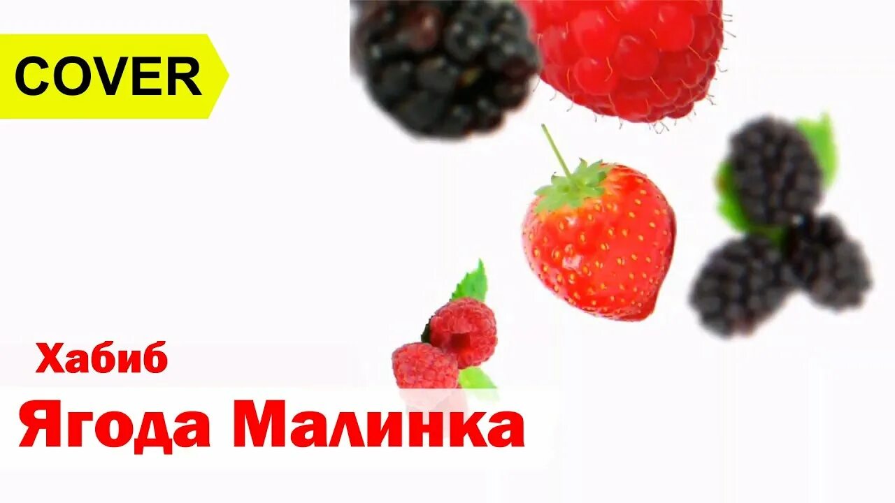 Ягодка Калинка. Ягодка малинка хабиба слова