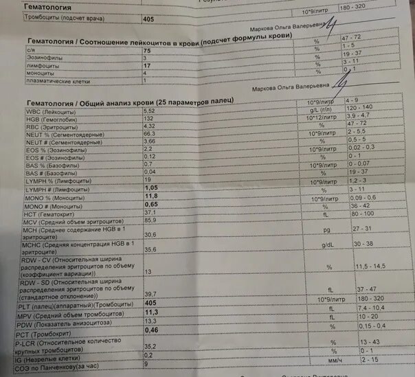 Базофилы повышены что это значит. ОАК СОЭ. ОАК С ретикулоцитами.