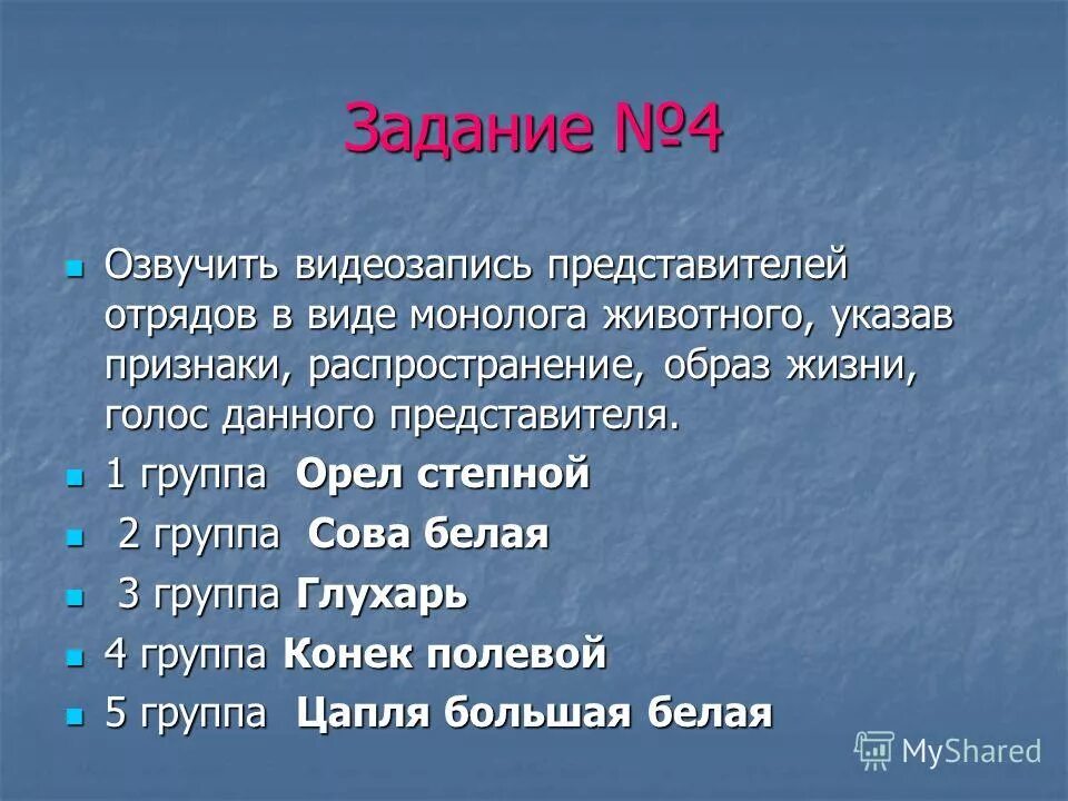 Отряды птиц 8 класс. Отряды птиц 7 класс презентация. Отряды птиц презентация 7 класс биология. Отряд представители. Презентация на тему отряды птиц.