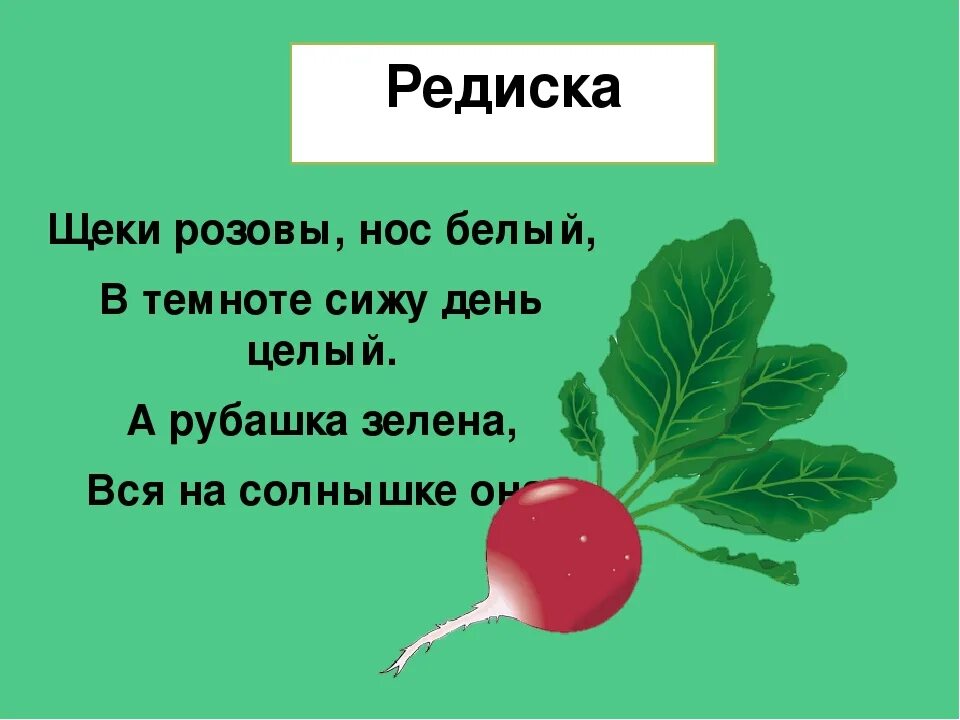 Редис слова