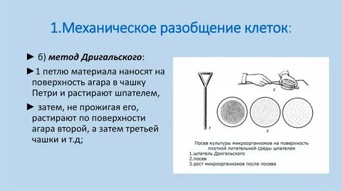 Механические методы выделения чистых культур