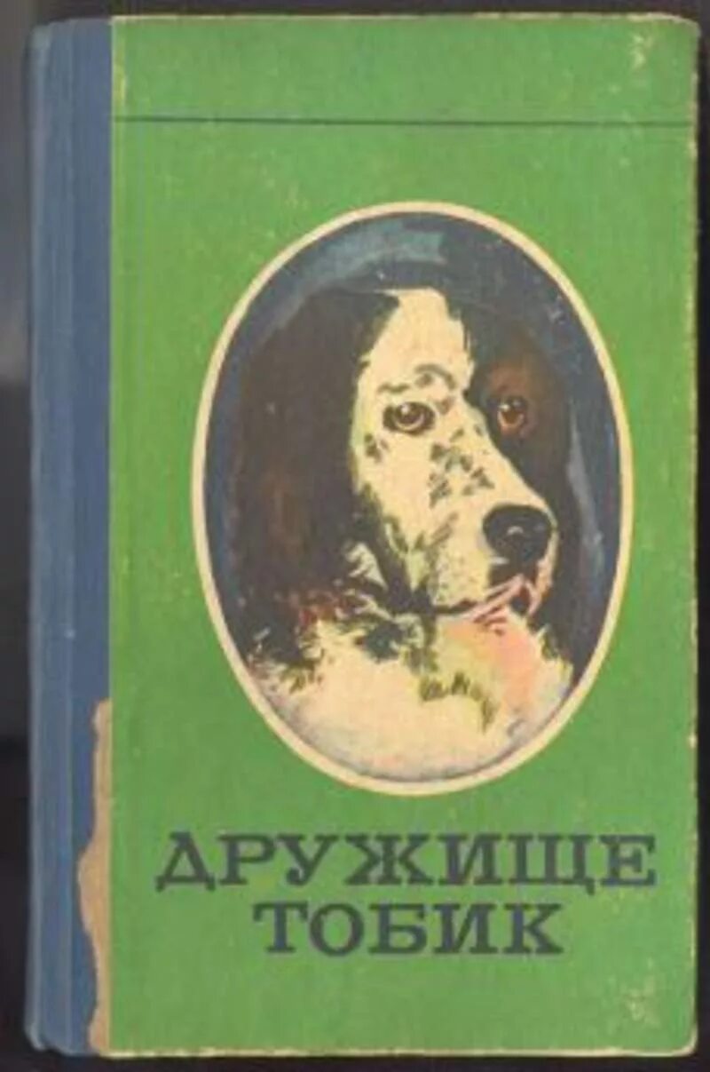 Паустовский «дружище тобик». Тобик. Дружище тобик изложение. Дружище тобик книга. Дружище тобик книга.