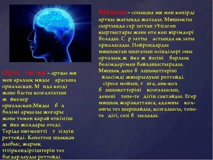 Слайде мен