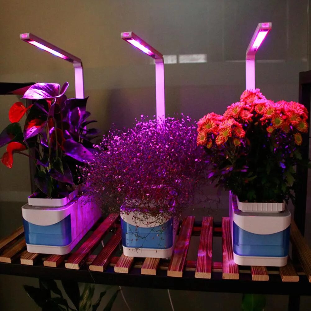 Освещение для растений. Фитолампа икеа. Гарден фитолампы. Подсветка для цветов. Лампа для подсветки растений.