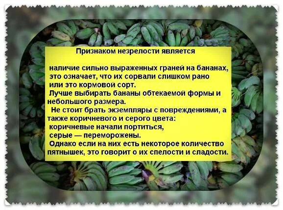 Можно ли банан после родов кормящей маме. Можно кормящей маме бананы. можно бананы при гв в первый месяц. бананы при гв в первый месяц. можно кормящей маме бананы в первый месяц.