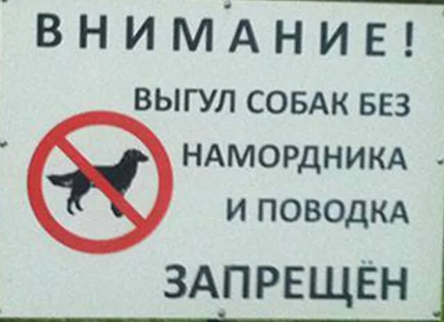 Табличка выгул собак. Закон о выгуле собак. Как правильно выливать собаку. Выгул собак без намордника и поводка запрещен табличка. Штраф за выгул собак без намордника.