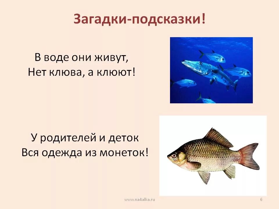 Слова рыба ответы. Загадки про рыб. Загадка про рыбку. Загадки на тему рыбы. Детские загадки про рыб.