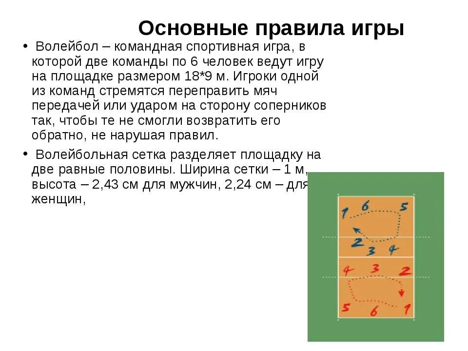 Сколько игроков в волейболе находится на площадке