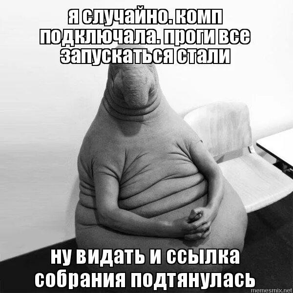 Лисичка ждун. Володя хватит. Дождались мем. Мем дождались. Ну накоонецто дождались.