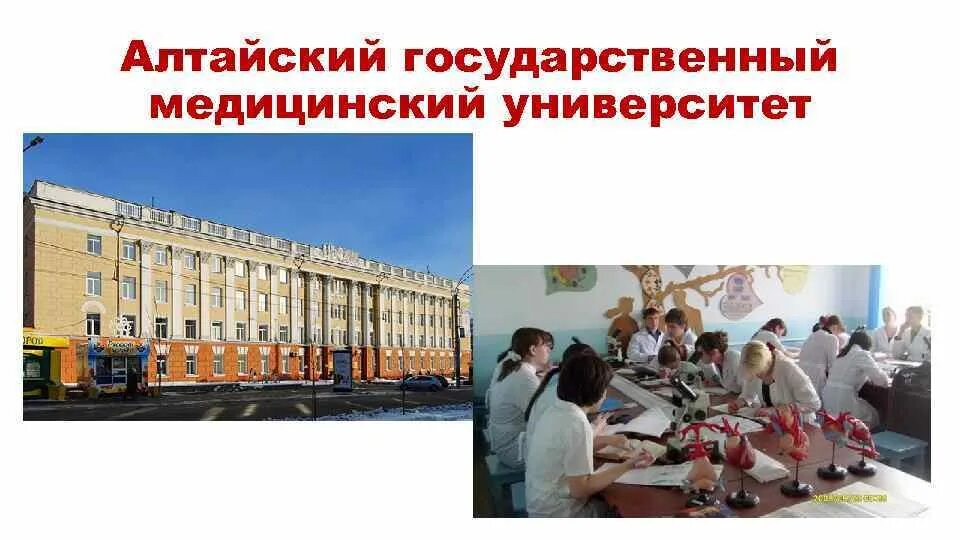 Сайт алтайского медицинского университета. Барнаульский медицинский университет. Алтайский государственный медицинский университет фото. АГМУ Барнаул фото. АГМУ Барнаул корпуса.