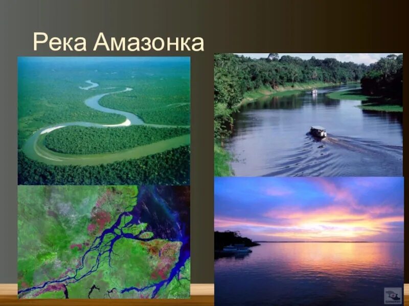 Хозяйственное использование рек человеком реки амазонка. Южная америка река амазонка. река амазонка проект. амазонка самая полноводная река в мире. река амазонка презентация.