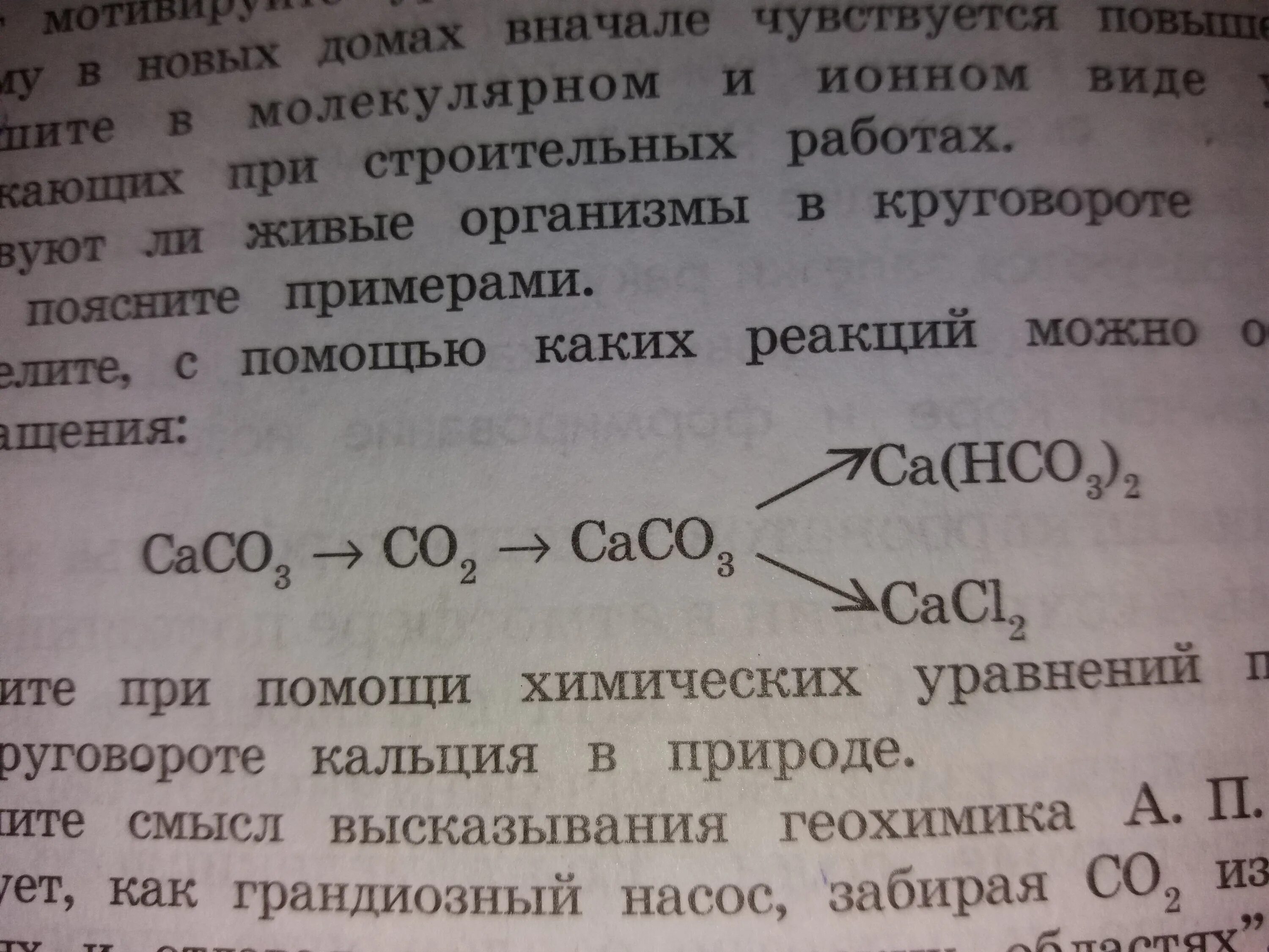 Какой реакции маляра на озорство мальчишек. Какую из реакции можно назвать реакцией каустификации.