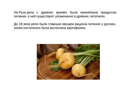 Репа овощ рецепты