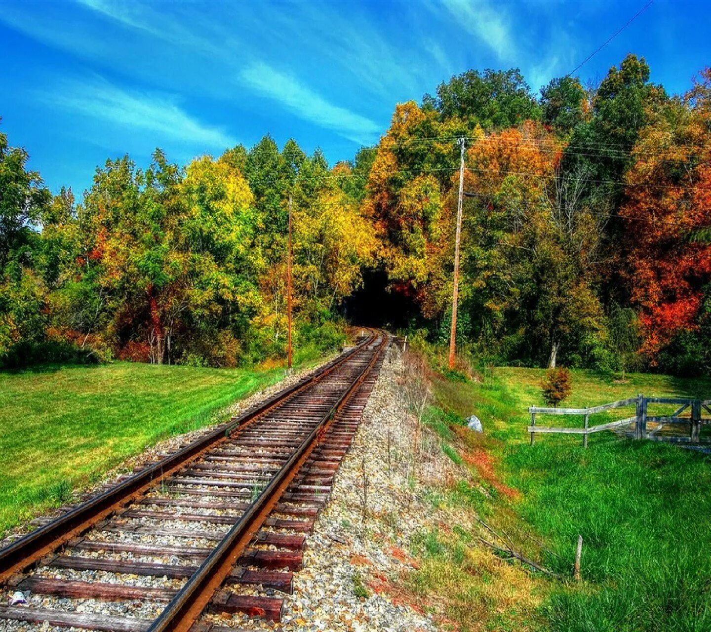 Железная дорога природа. Железная дорога в лесу. Пейзаж с железной дорогой. Поезд природа.