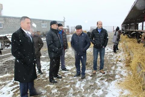 Карачаево черкесская сельское хозяйство