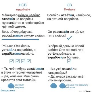 Св и нсв