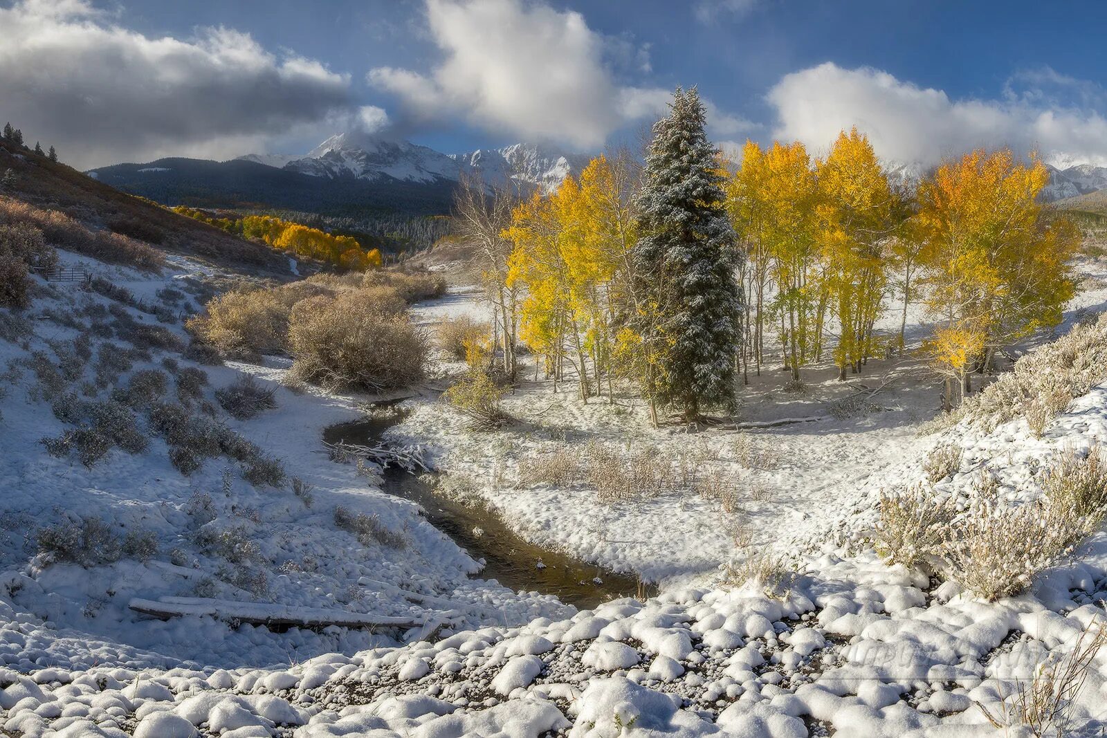 Самая поздняя зима. Ранняя зима. Первый снег. Поздняя осень снег. Природа ранняя зима.