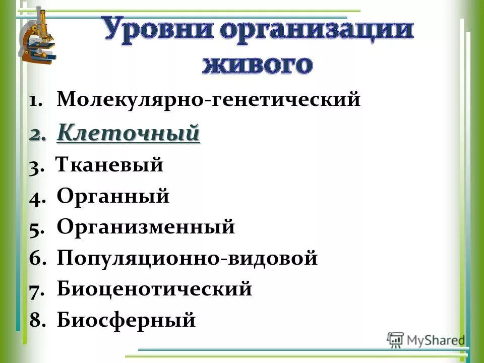 основные направления генетики. решетка пеннета 3 закон менделя. инсуляторы днк. генетика конспект. понятие о генетическом коде.