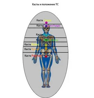 Каста карта