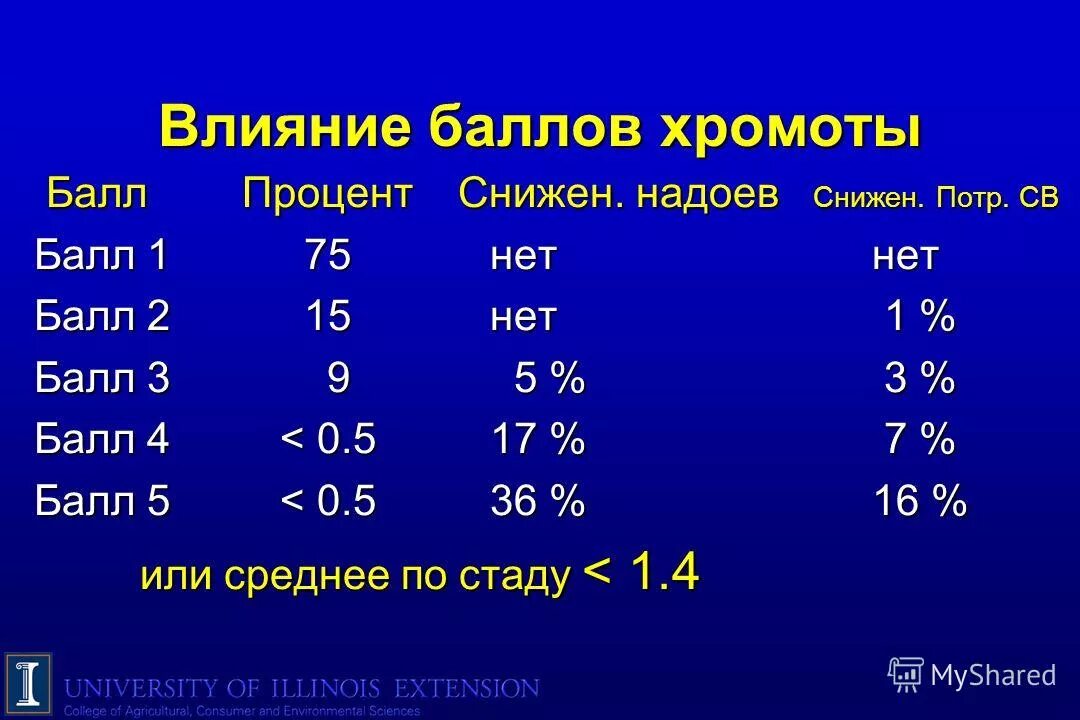 сообщение о святых земли русской. баллов св. балльно-рейтинговая система (брс). класс проценты в оценки. оценки в школе.