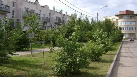 Пушкина микрорайона