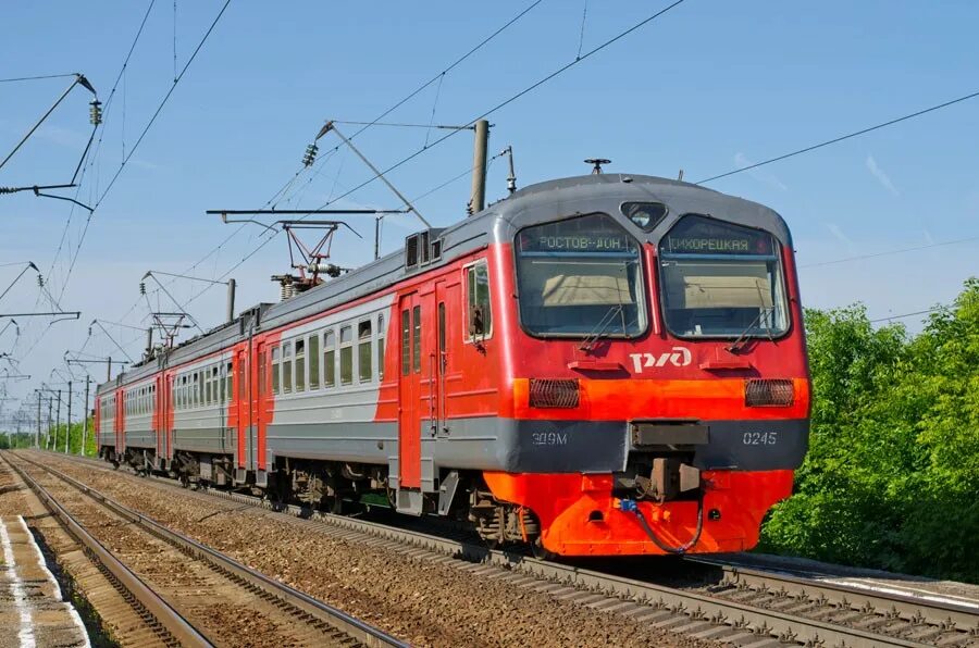 Поезд сальск петербург