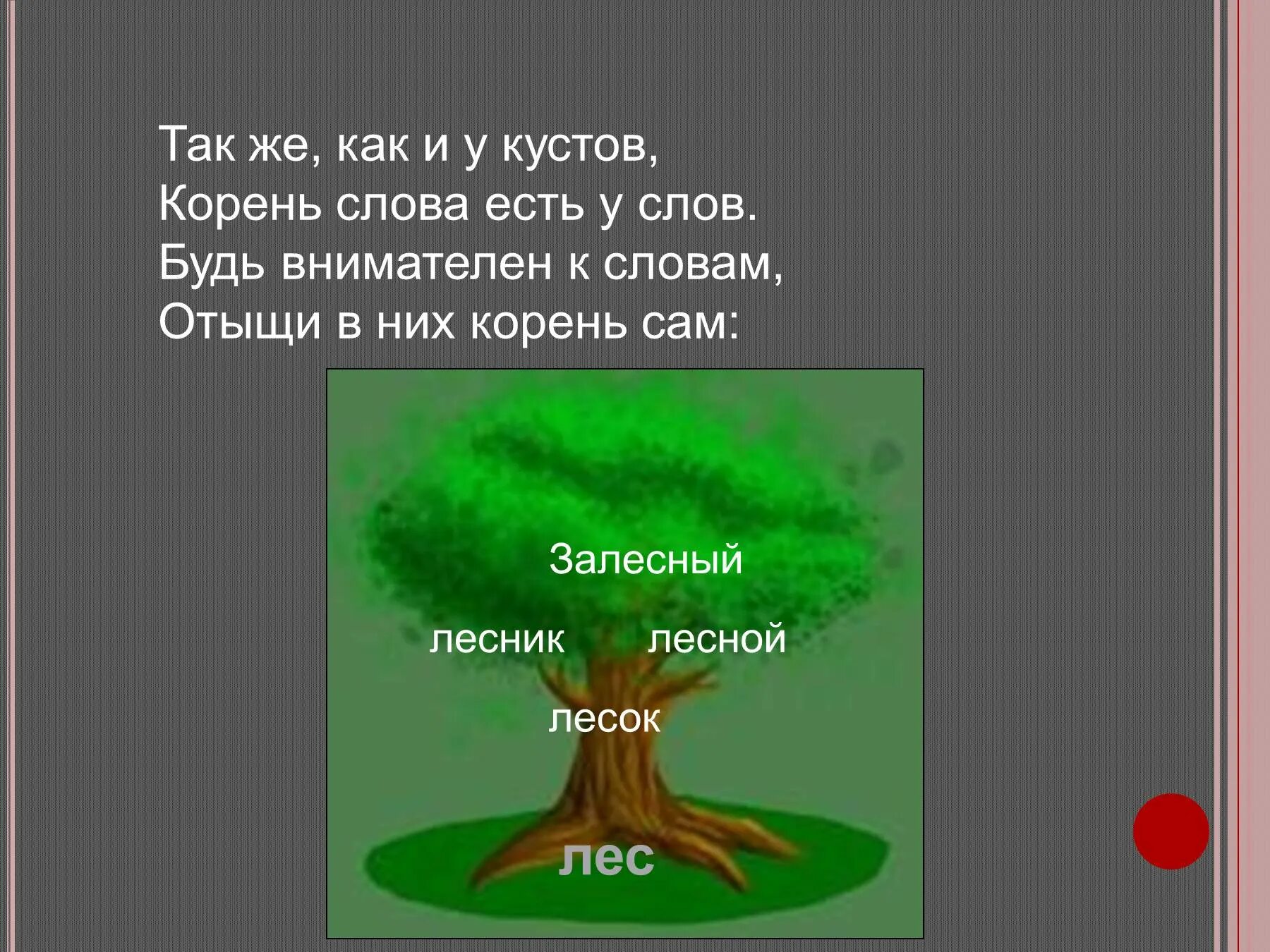 Какие слова есть с корнем ест. Проект однокоренные слова. Стих про корень. Стихи с однокоренными словами. Слова с корнем лес.