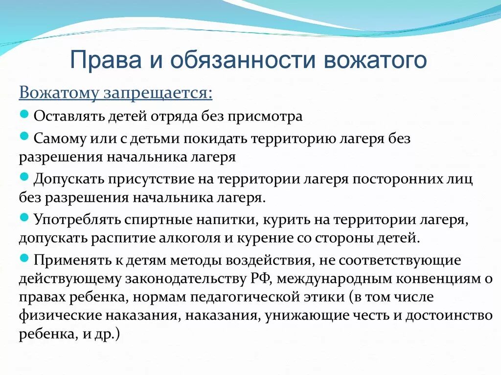 Функции старшего вожатого в школе. Функции вожатого в летнем лагере. Должность вожатого в лагере.