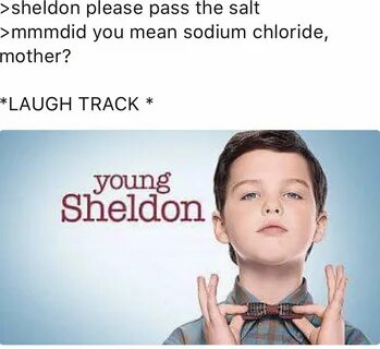 Preview of Young Sheldon.