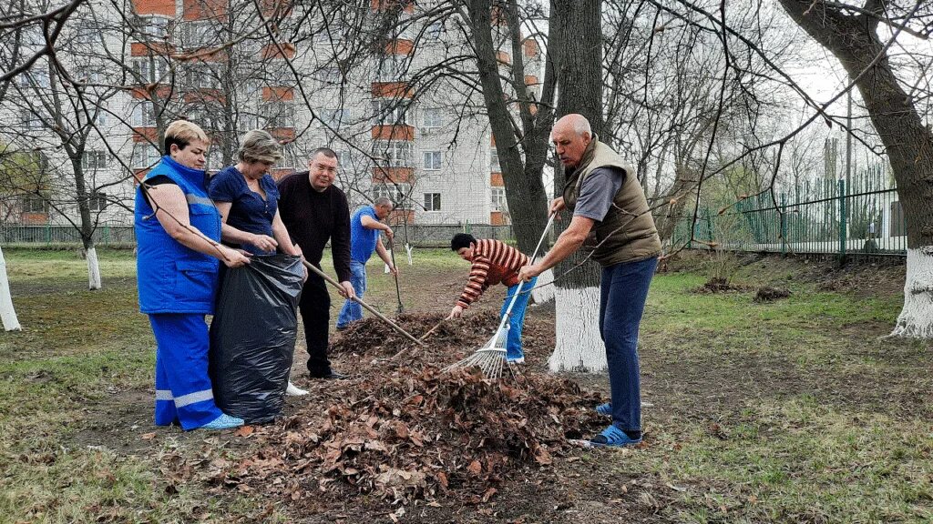 Субботник. Субботник в больнице. Субботник в больнице фрязино. Субботник в городе. Субботник.