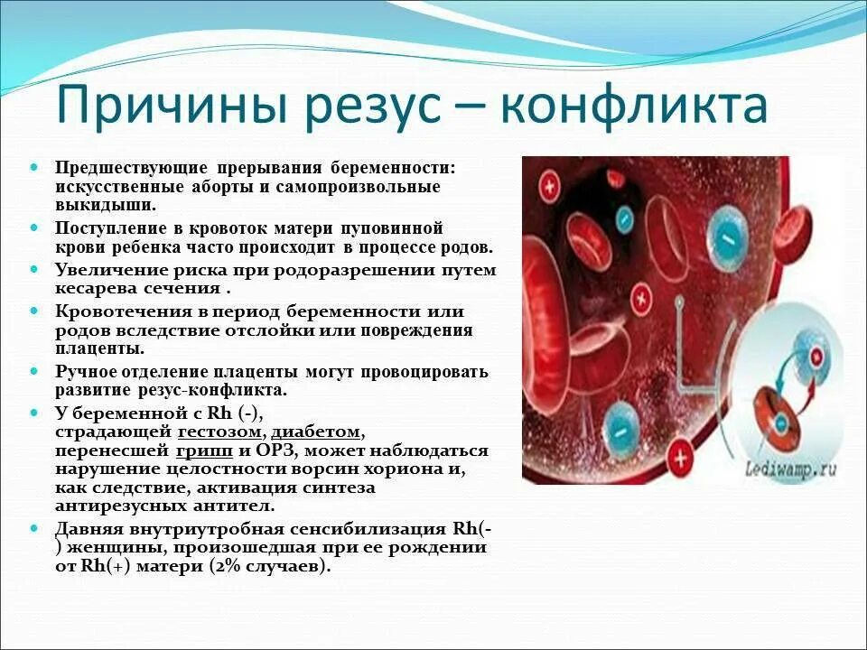 Риски при отрицательном резусе