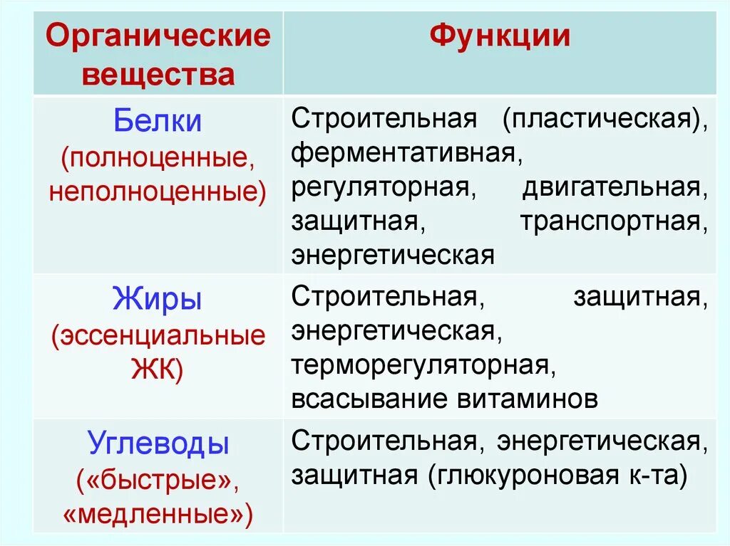 Органические вещества белки функции. Функции белков ферментативная строительная двигательная. Функции органических веществ. Функции белков строительная функция.