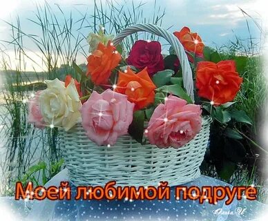 Цветы любят все мои подруги